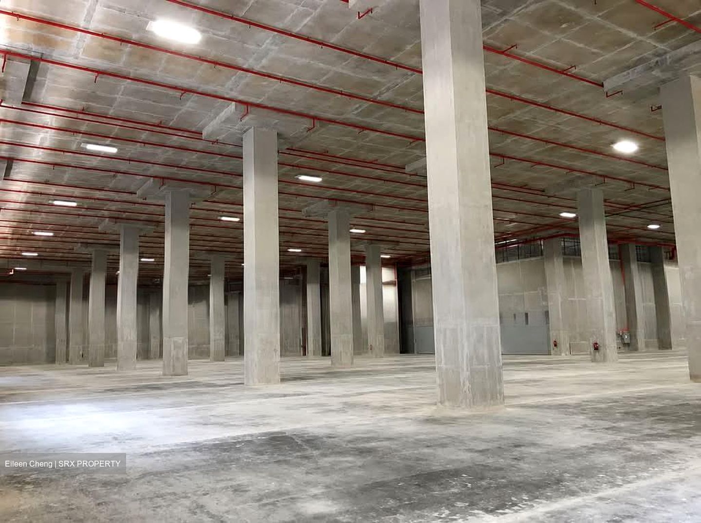Toh Guan Road East (D22), Warehouse #574075721
